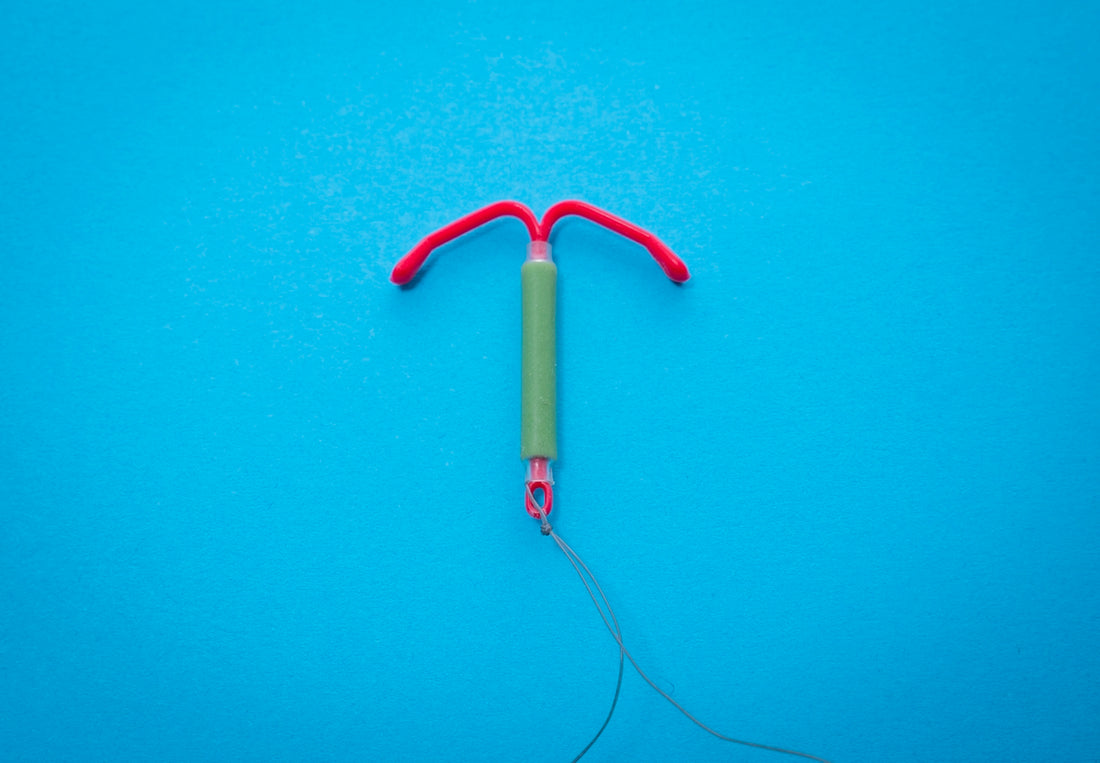 green and red anchor shaped toy