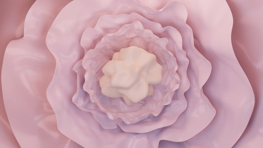 a close up of a pink flower with a white center