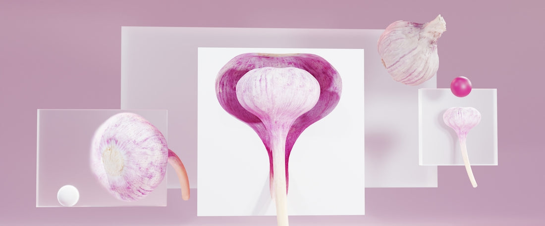 a picture of a purple flower with a white background