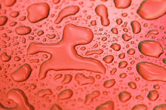 a close up of water droplets on a red surface