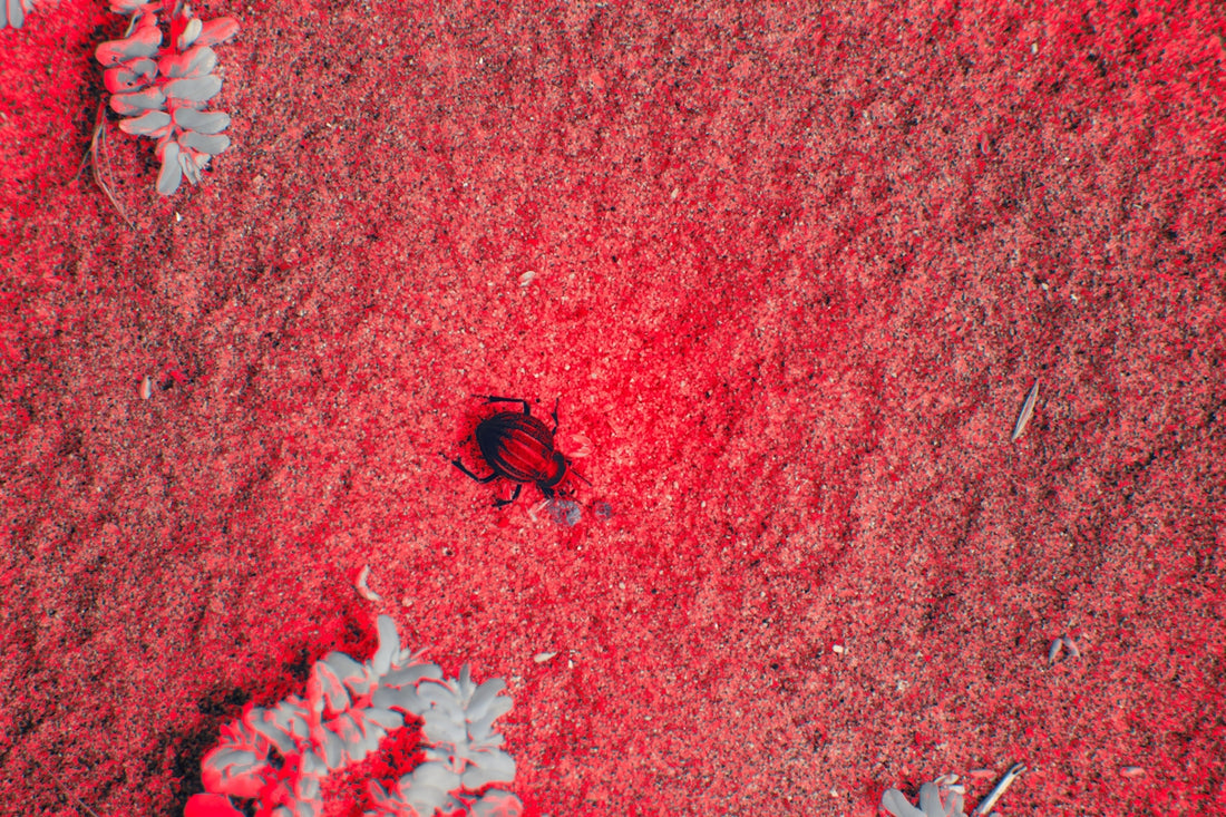 A close up of a red and gray area