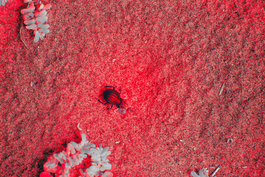 A close up of a red and gray area